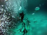 Scuba Diving in The Bahamas | Adriano´s Fishing Channel