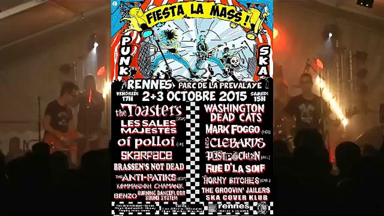 WASHINGTON DEAD CATS