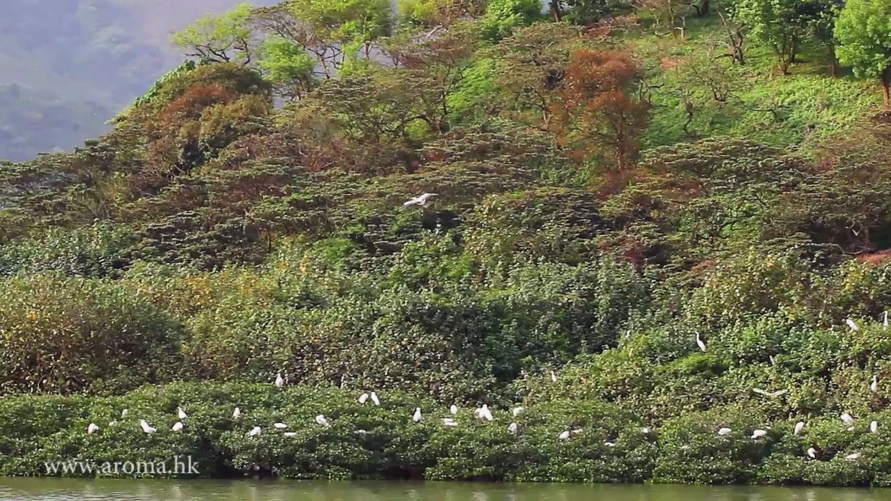 Luk Keng A Chau 鹿頸鴉洲
