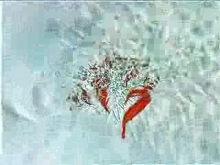 Enjoy the silence remix