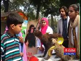 world wild life day celebrations in zoo pkg