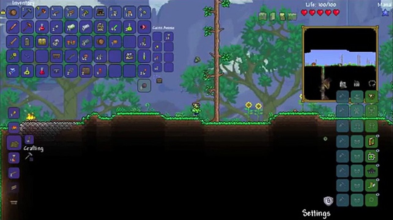 Terraria- Expert Mode Yoyo Class Playthrough E2