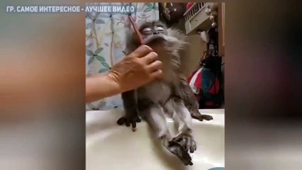 А я такая вся    балдею