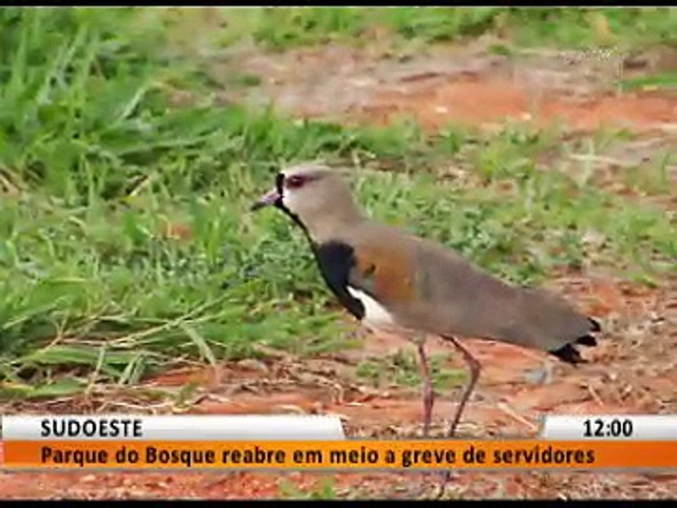 SUDOESTE