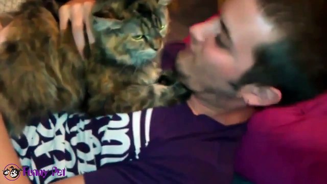 Funny Videos - Funny Cats - Funny Pranks - Funny Animals Videos - Funny Baby 2015 ✔