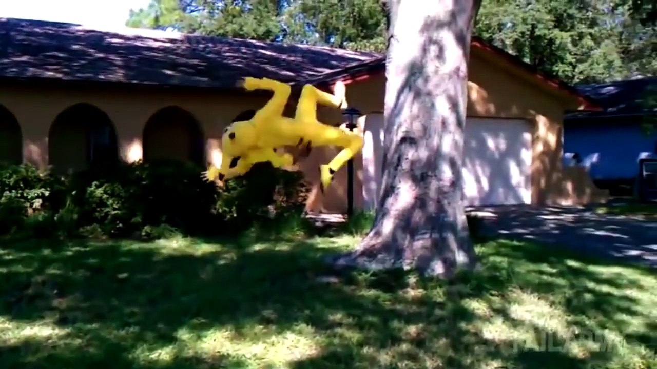 Ultimate Fails Compilation 2015 (So Far)