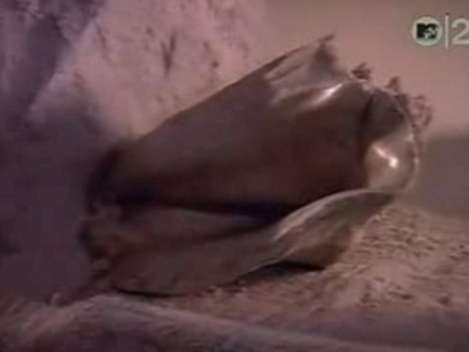 Cindy Lauper - True Colors