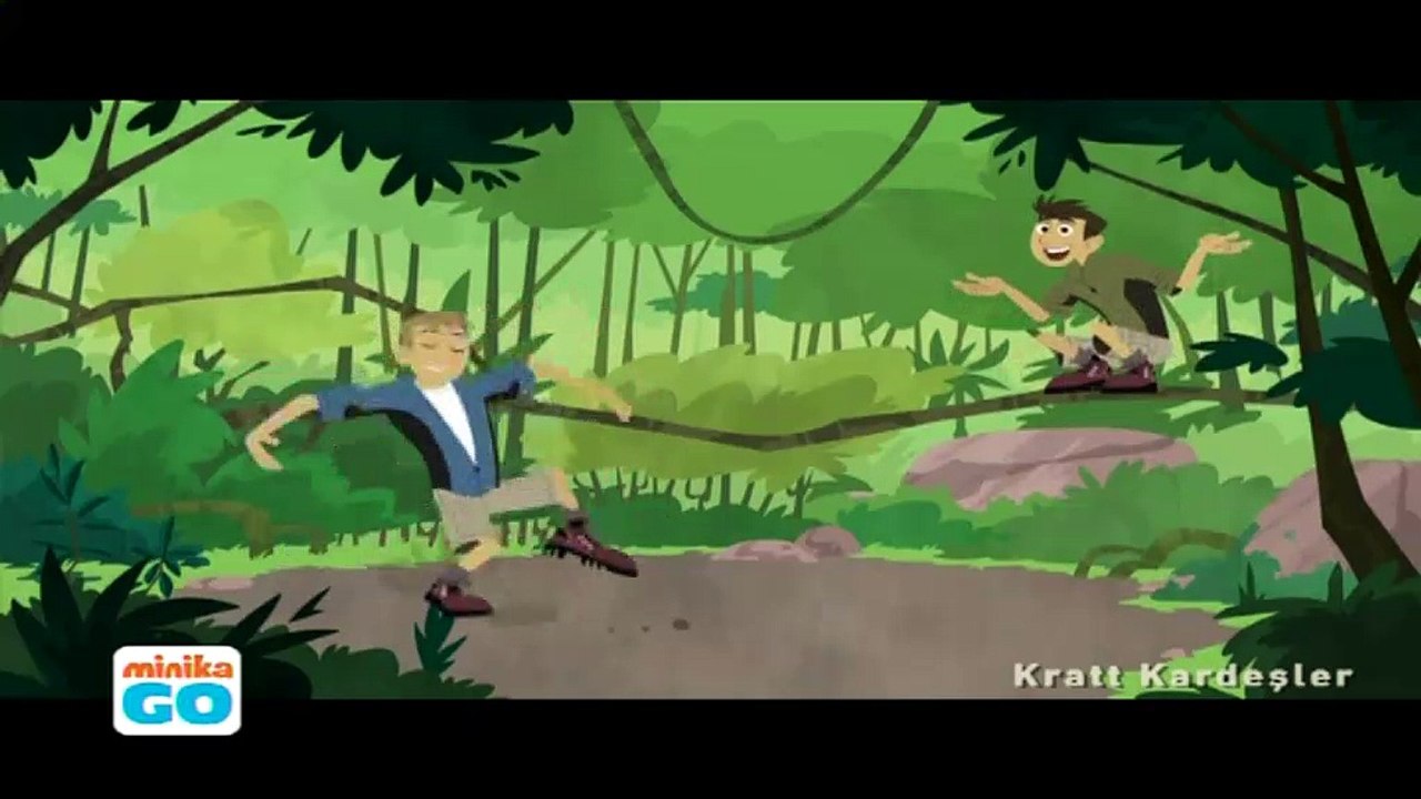 Kratt Kardeşler Renkli Kuşlar