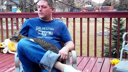 Cat Playing With Dog funny s 2015 Nov 09