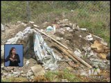 Municipio busca eliminar basureros creados por habitantes
