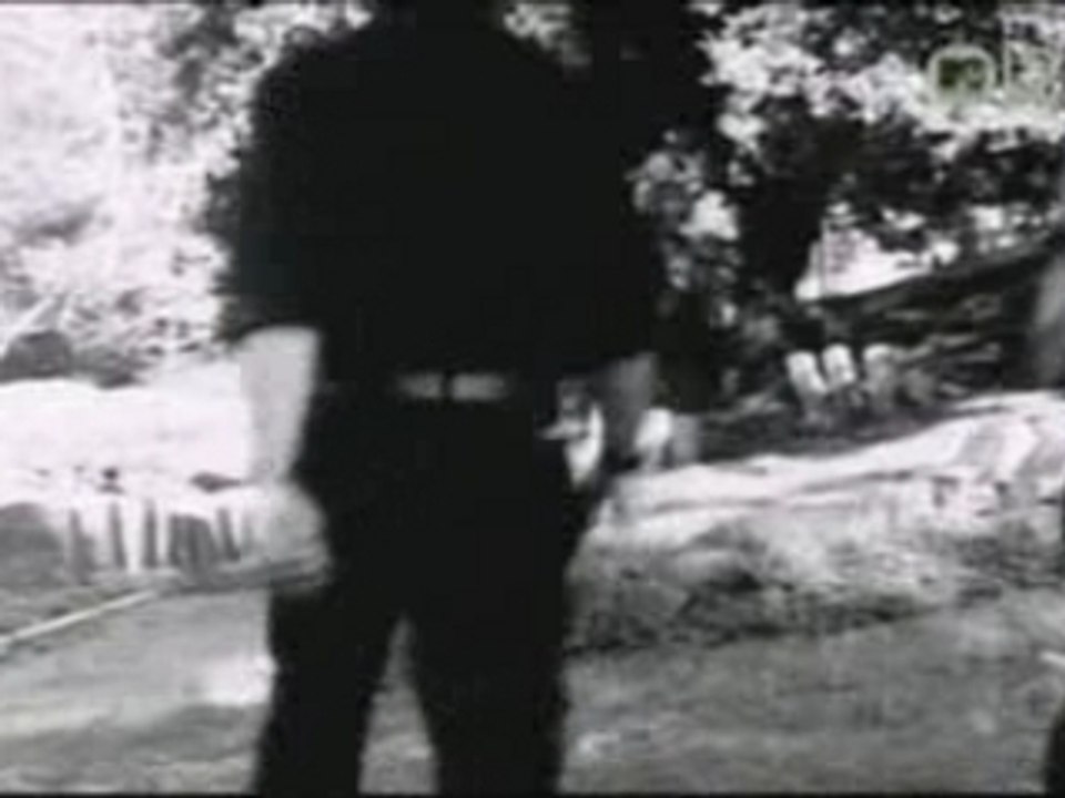 Afi - Total Immortal