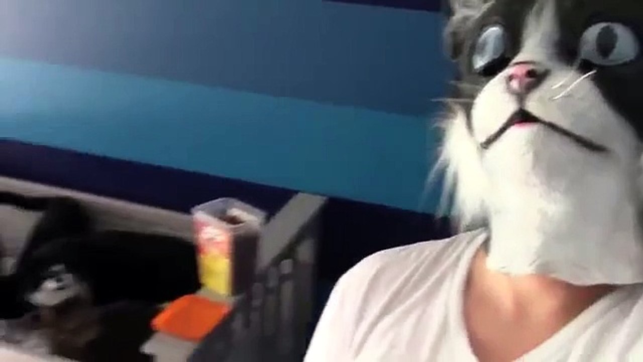 Man in Cat Mask Scares Cats video Dailymotion