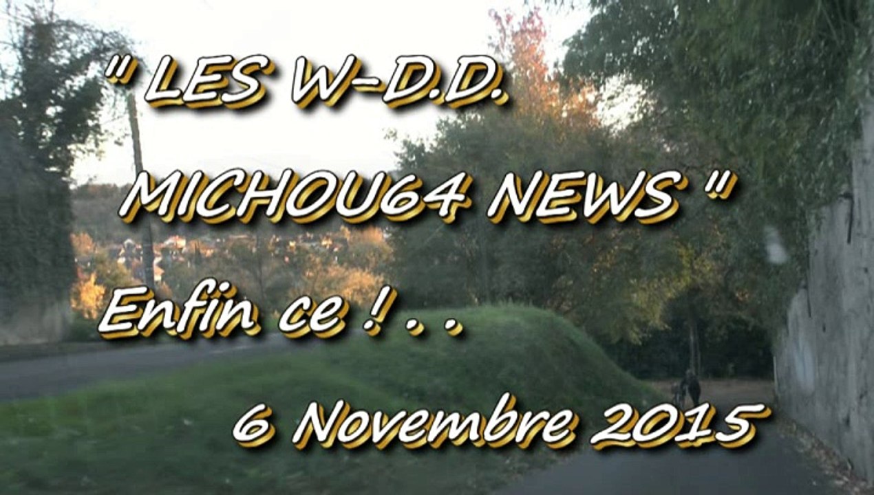 LES W-D.D. MICHOU NEWS - 6 NOVEMBRE 2015 - PAU - LA FONTAINE TRESPOEY A SA NOUVELLE POUBELLE.