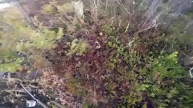 Son chien est coincé dans un lac gelé ... regardez sa réaction !