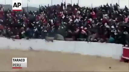 Demi i terbuar hidhet dhe sulmon spektatorët