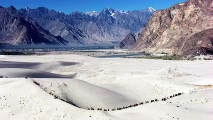 هذا خلق الله!