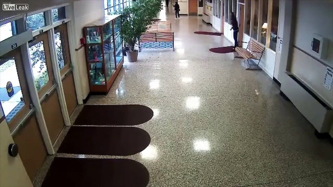 Deer vs Slippery Floor