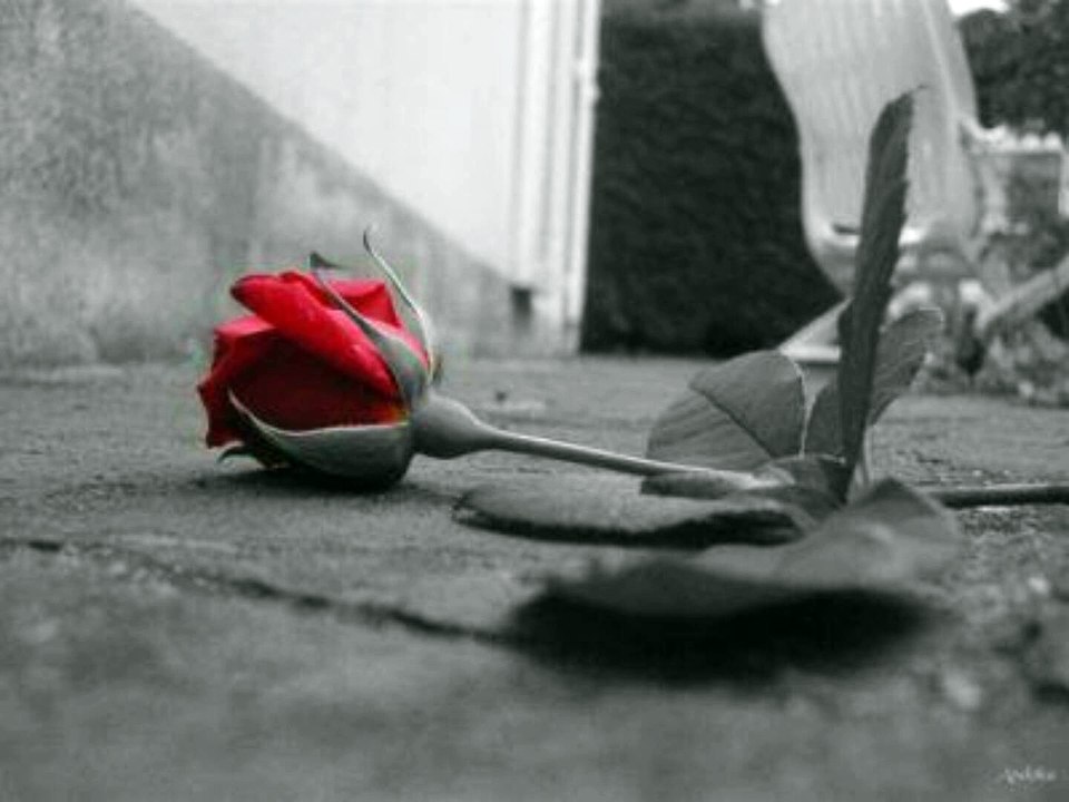 Bir Gün Anlarsın - Ümit Yaşar Oğuzcan Şiir ( Hakan Kömürcü)