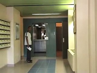 Best of Elevator (Rémi Gaillard)