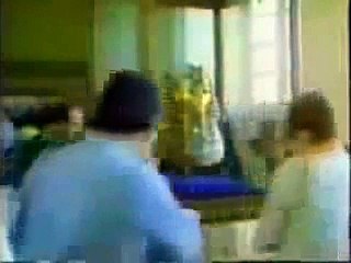 Popular Videos - Desert & Sahara