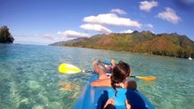 Trip Polynésie - août 2015 - Tahiti, Moorea, Huahine, Raiatea, Bora Bora et Rangiroa