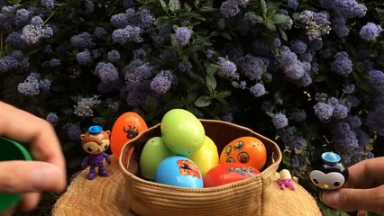 Octonauts toys surprise eggs CBeebies toys Shellington Kwazii Peso Barnacles jouets  Octonautas  Mélytengeri mentőcsapat 바다탐험대 옥토넛