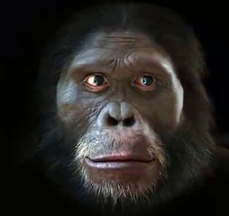 Inverse --The Evolution of Man Face Over The Course Of 6 million years