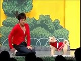 陣内智則 ネタ 動画 【犬の育成ゲーム、犬】
