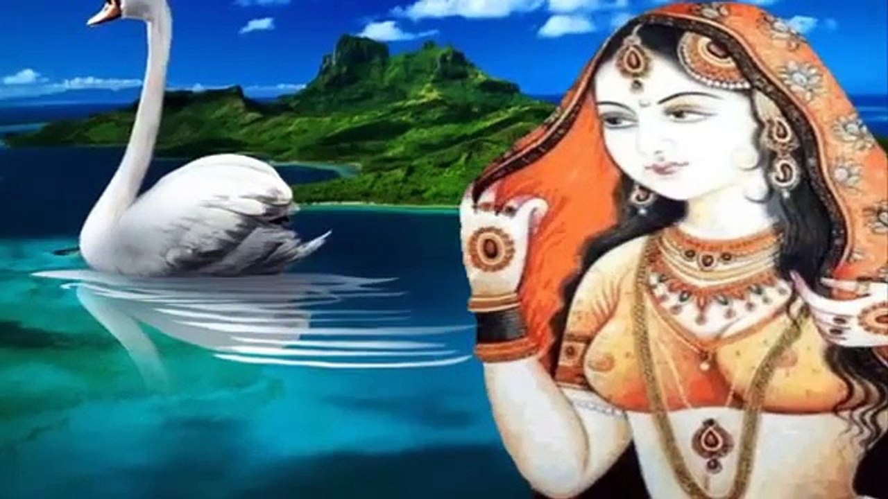 Best Punjabi Collection
