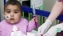 First-of-its-kind 'designer' immune cells appear to clear baby girl's 'incurable' leukemia