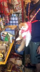 getting married and having babies