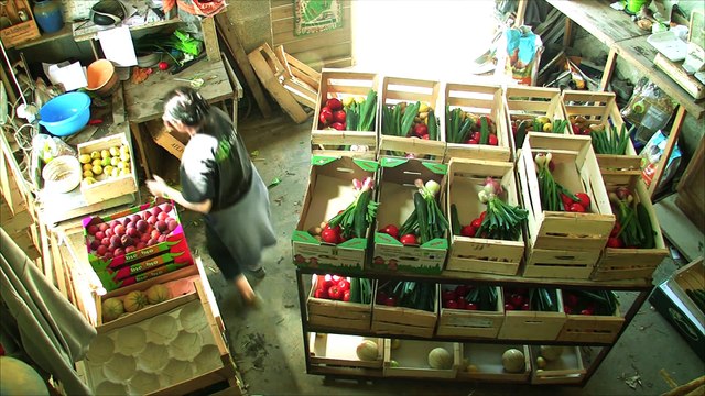 BioBreizh semences paysannes