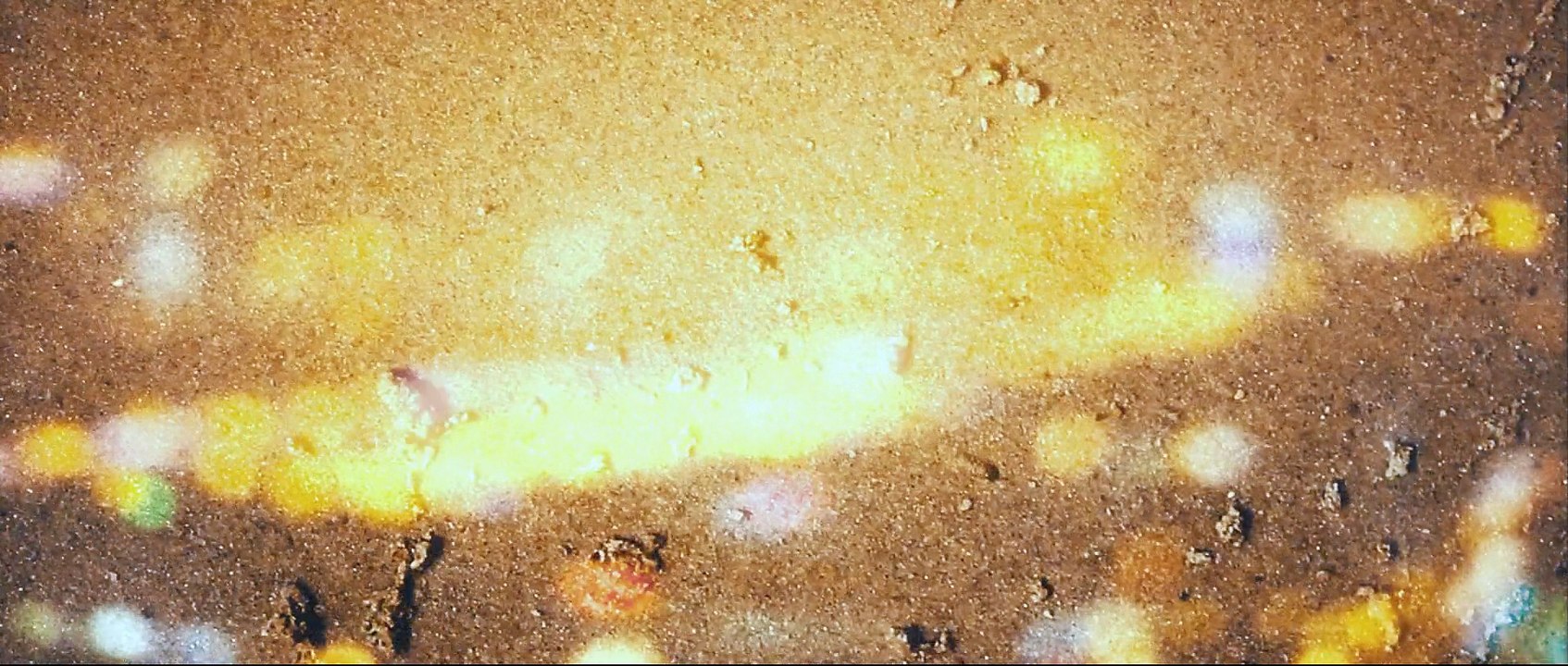 Dream Of Electric Sheep: City never sleeps