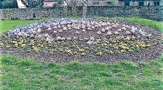 Auf großer Tour durch Niederlahnstein