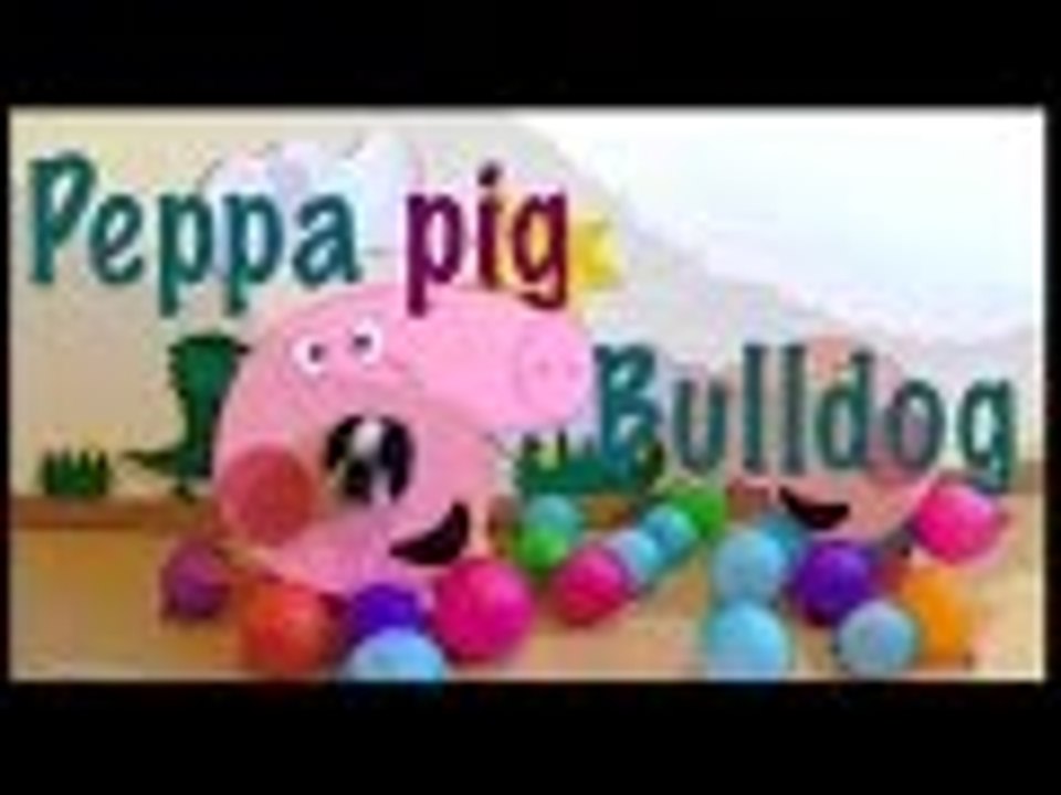 Peppa pig bulldog. El vlog de mi perro, bulldog francés, French bulldog