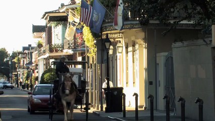 Horse drawn carriage in New Orleans