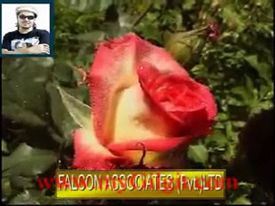 Shina Song by Ayub Mutasir "Famous Singer of Ghizer Gilgit Baltistan"