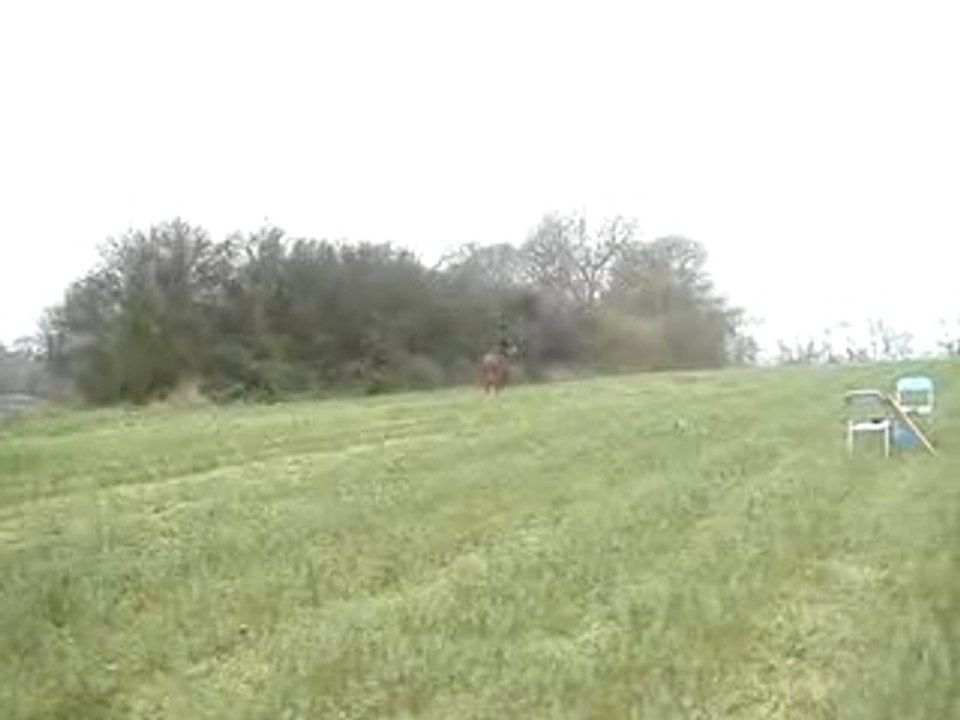 Elo et spirit 2