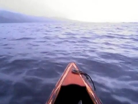 Вы когда-нибудь такое видели