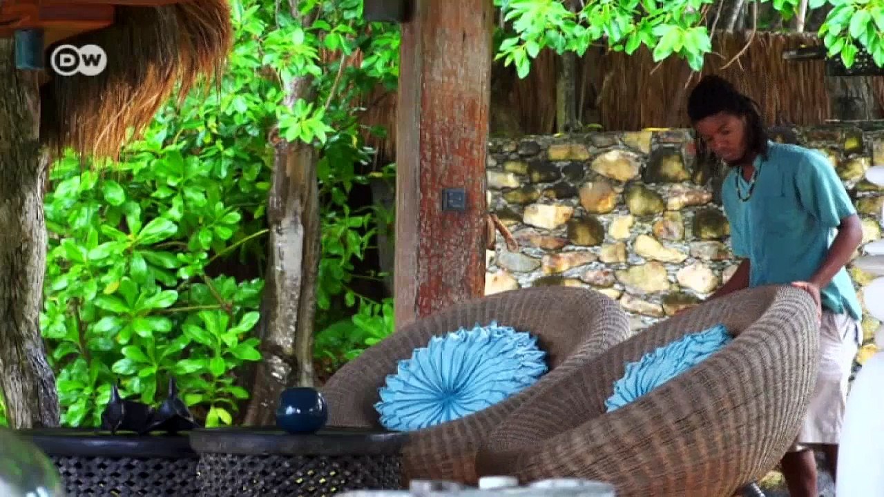 Biodiversity in the island paradise of the Seychelles | Environment