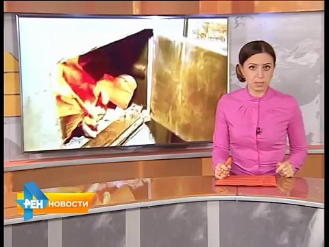 Путин! Введи войска в Саратов!