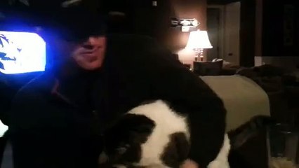 Pussy Is Crazy-Funny Entertainment Videos-by Funny Videos Collection