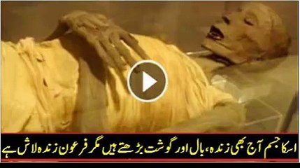 فرعون کی لاش کس طرح زندہ  ہے
