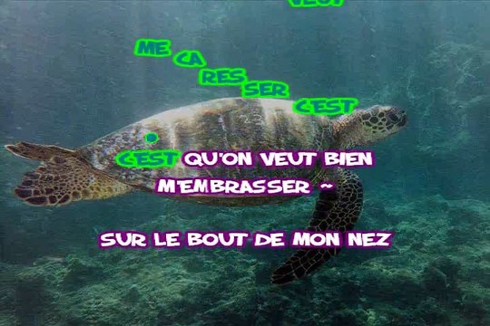 Christophe Willem La Tortue karaoké Joseph BULLA