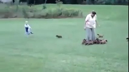 Here's the secret of attracting puppies