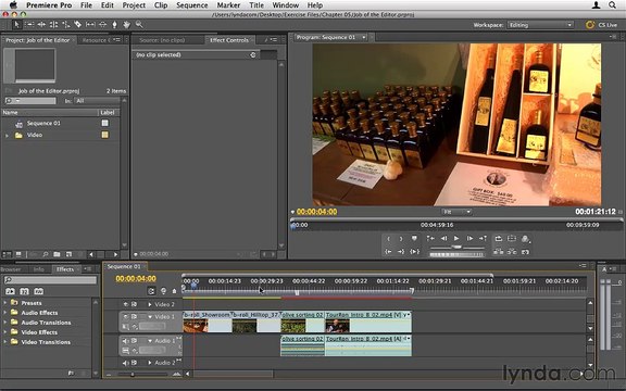 0501 The job of an editor