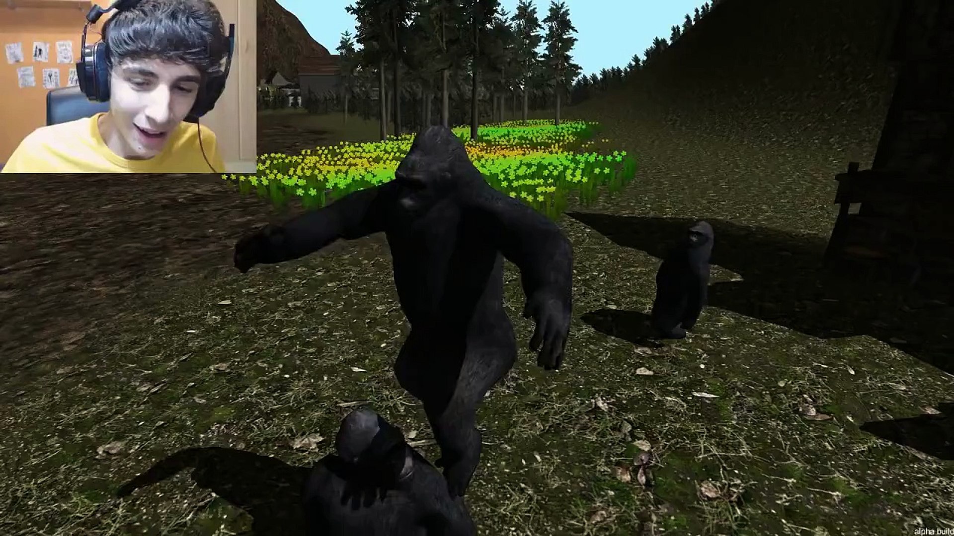 Gorilla Simulator Dailymotion Video