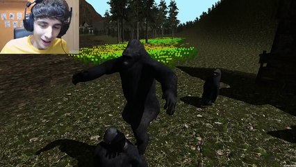 GORILLA SIMULATOR?!?!