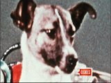 November 3, 1957 - Russia Sends Laika The Dog Into Space