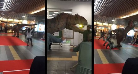 Un T-Rex sème la terreur dans un magasin